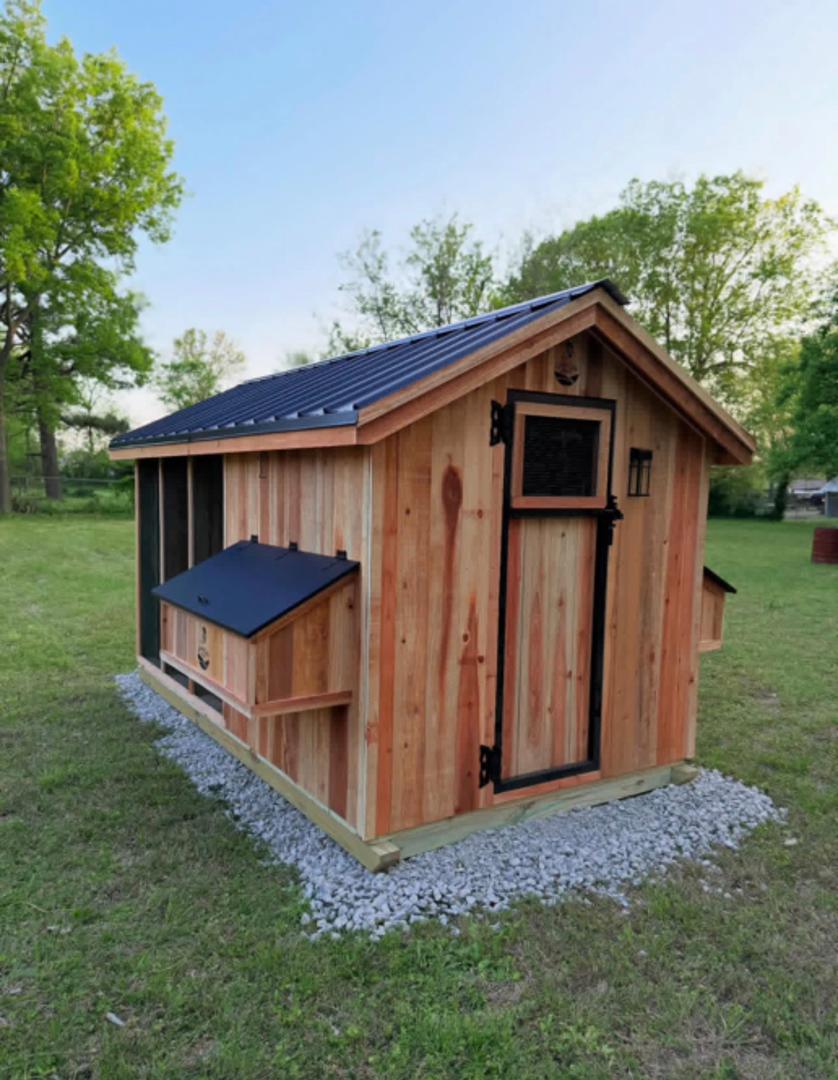 Chicken Coop