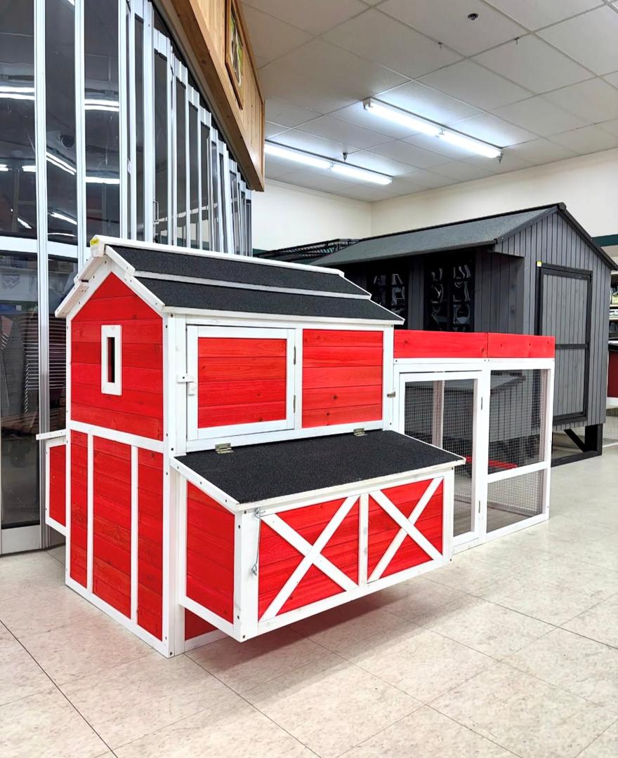 Chicken Coop
