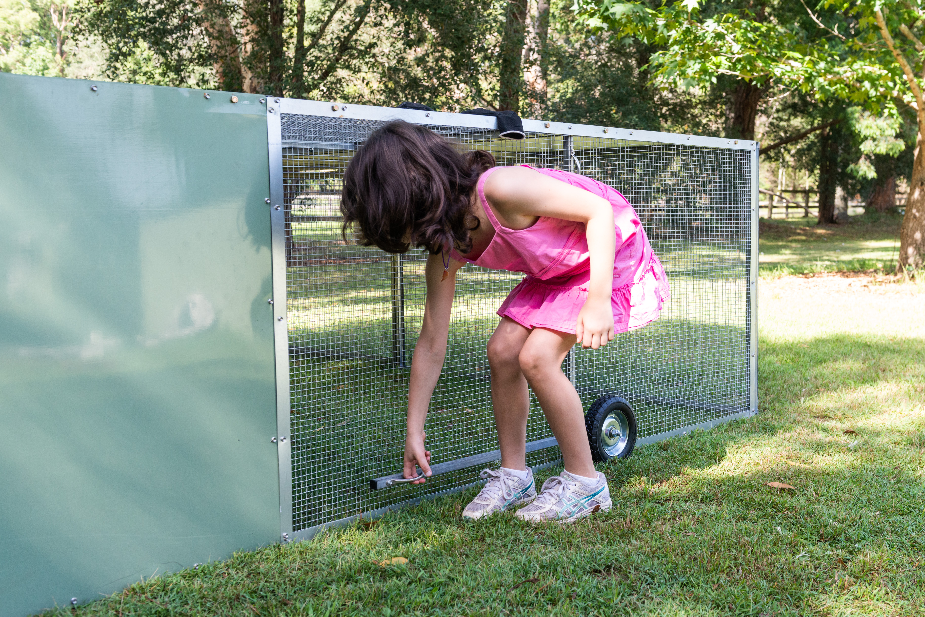 Chicken Tractor (Portable)